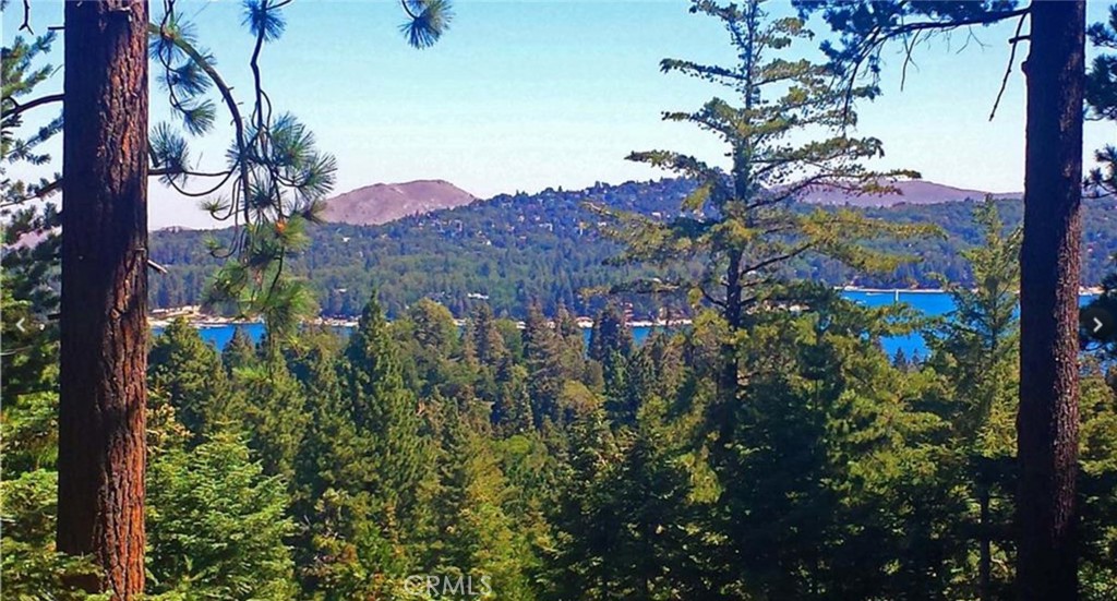 525 Ca-173, Lake Arrowhead, CA 92352 — photo 1
