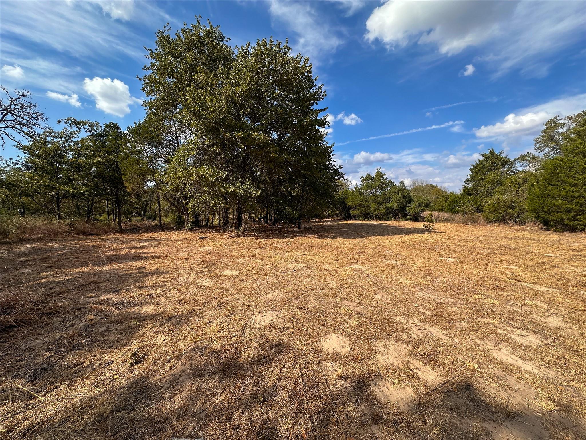TBD Walter Hoffman Rd, Bastrop, TX 78602 — photo 1