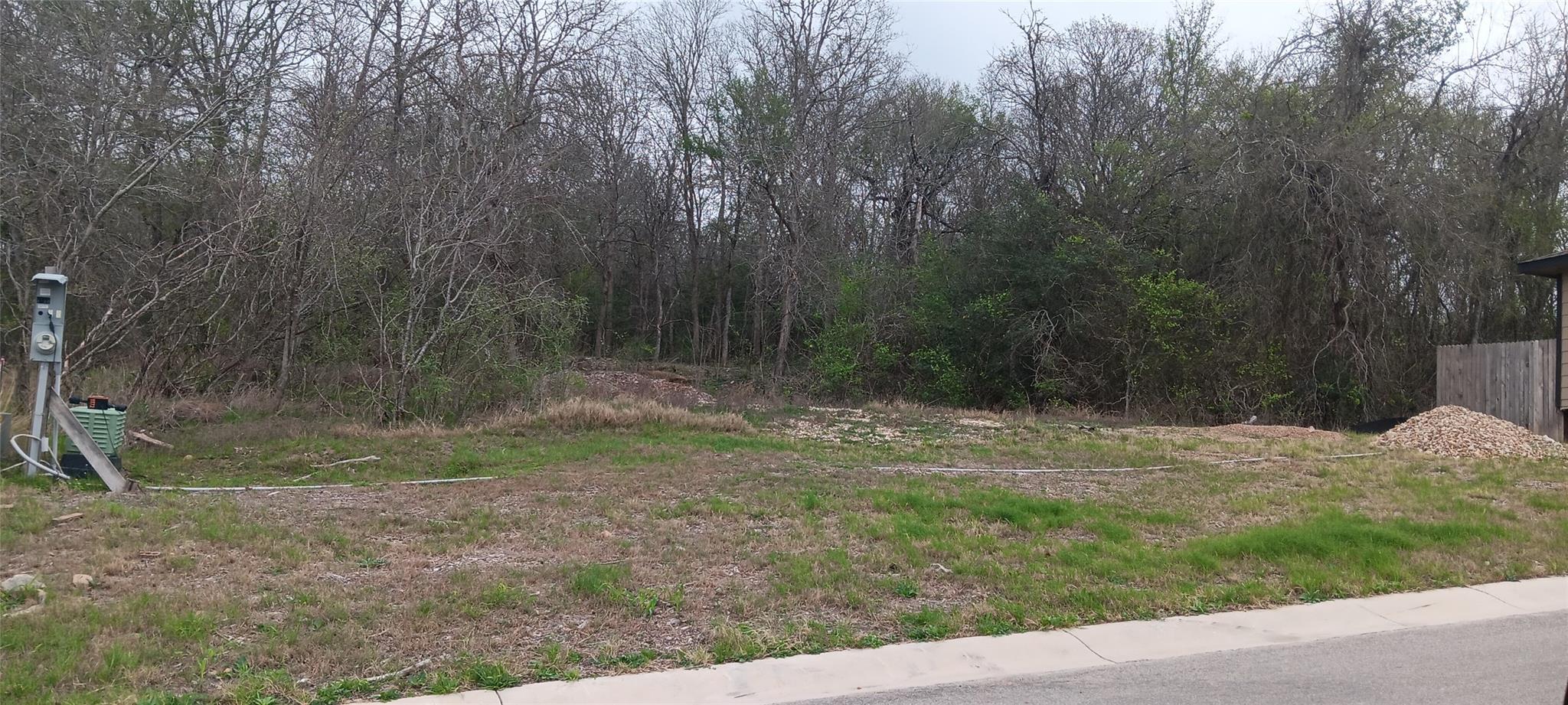 121  Bateleurefrey Cv, Cedar Creek, TX 78612 — photo 1