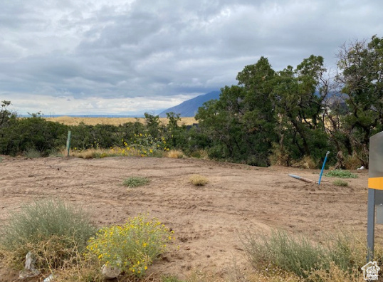 289 E MAPLETON ESTATES DR, Mapleton, UT 84664 — photo 1