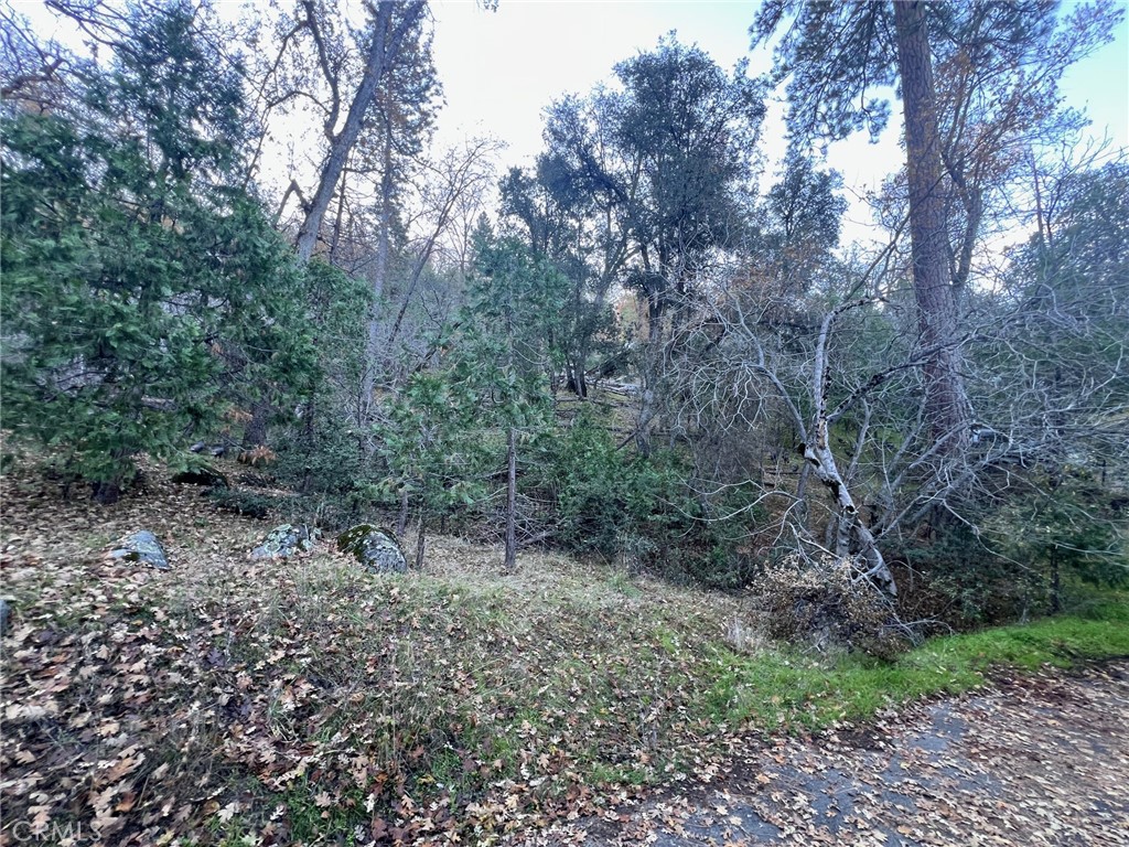 0 Snowy Creek Way, Coarsegold, CA 93614 — photo 1