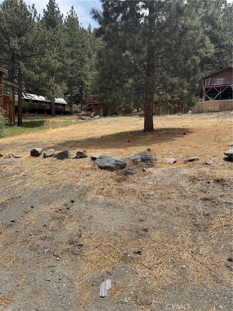 999 Buckthorn Road, Wrightwood, CA 92397 — photo 1
