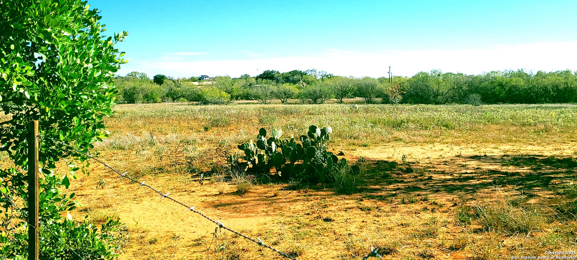 13710 US Highway 87, ,  78101 — photo 1