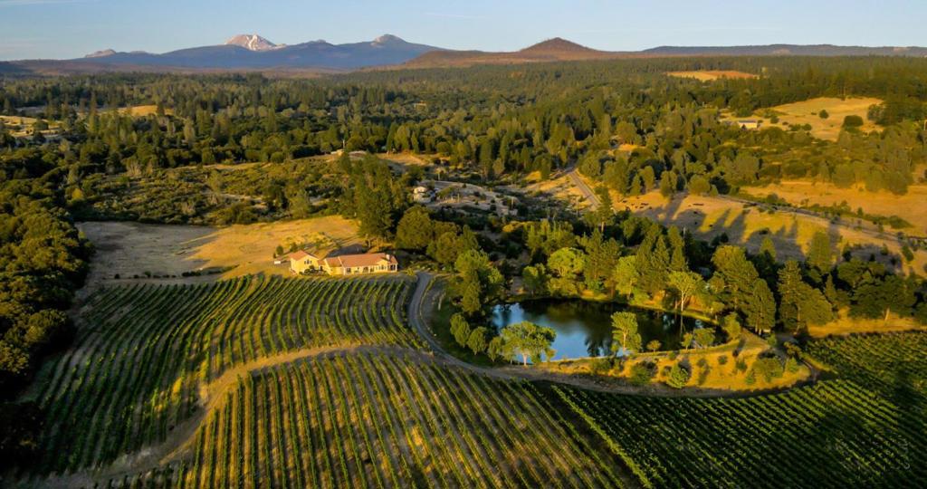 31630 Forward Rd., Manton, CA 96059 — photo 1