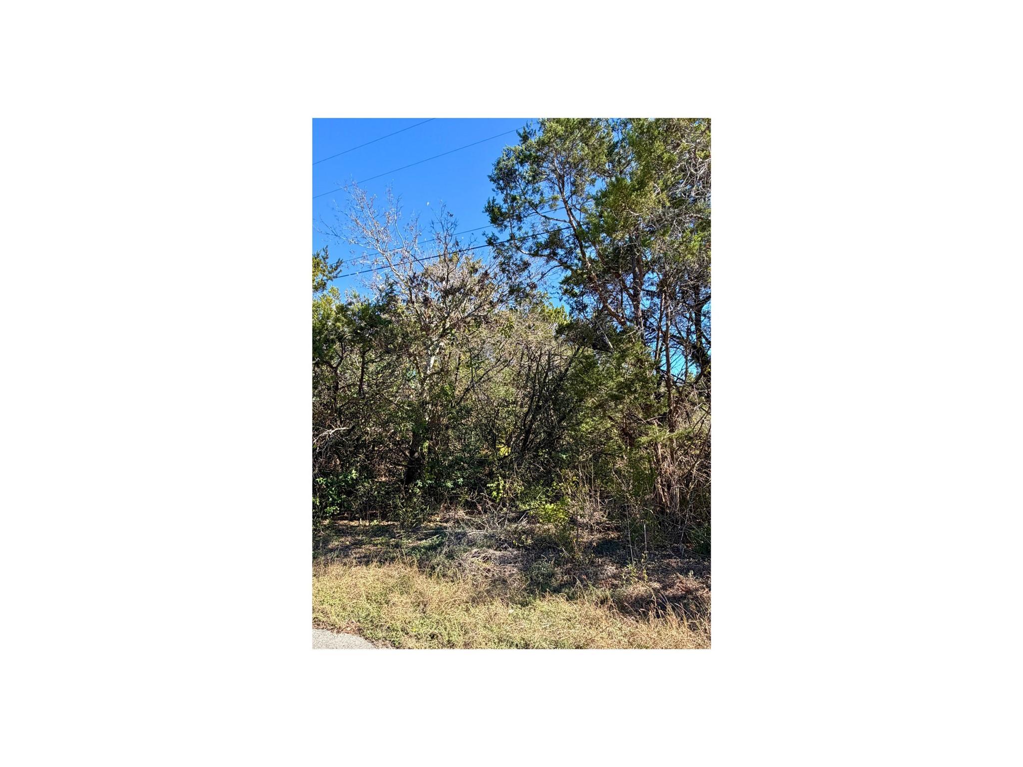 7401 Williamson Creek, Austin, TX 78736 — photo 1