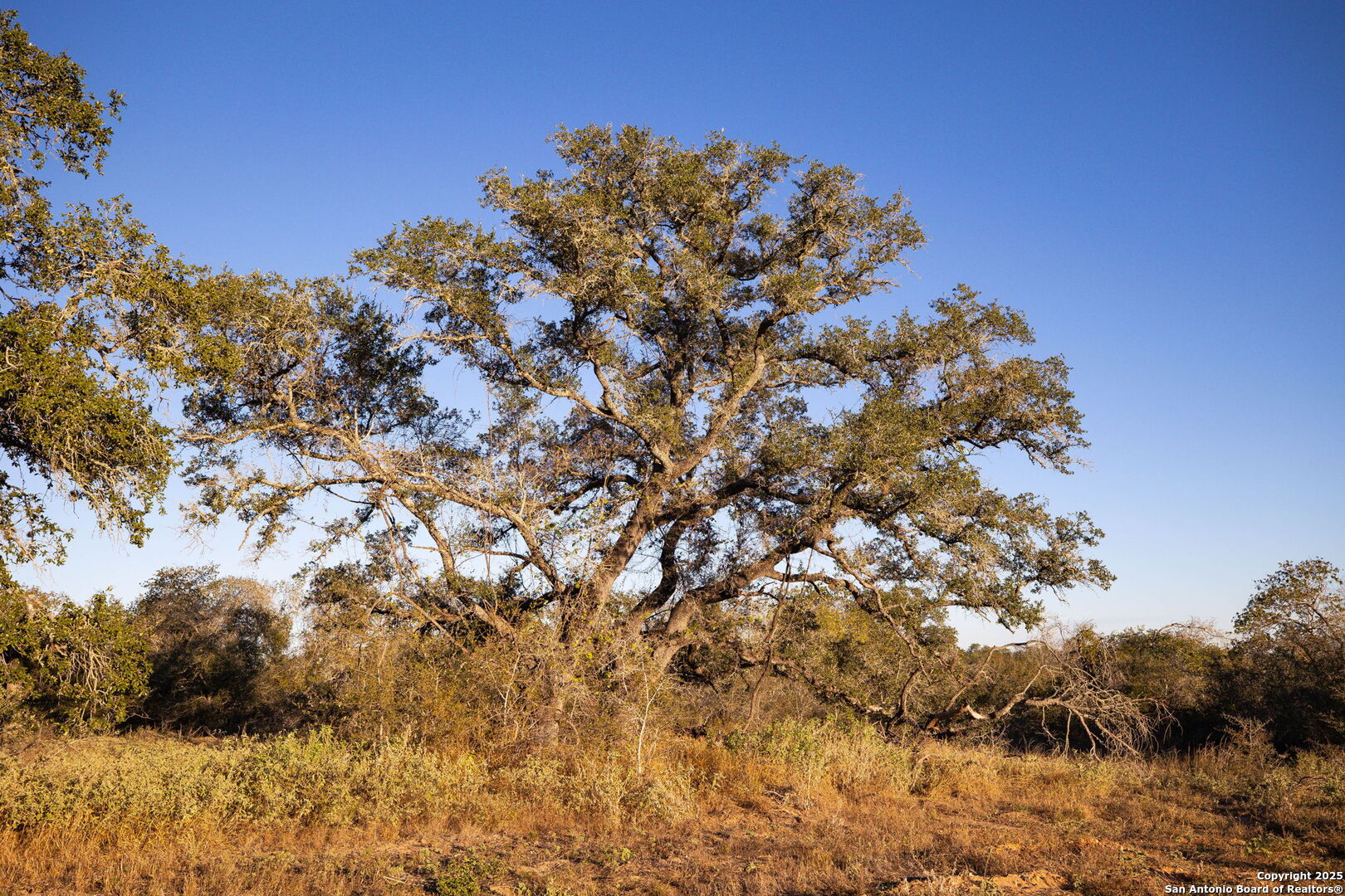 552 PR Arroyo Vista Lot 41, ,  78069 — photo 1
