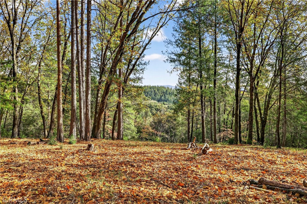 0 Burgundy Lane, Forest Ranch, CA 95942 — photo 1