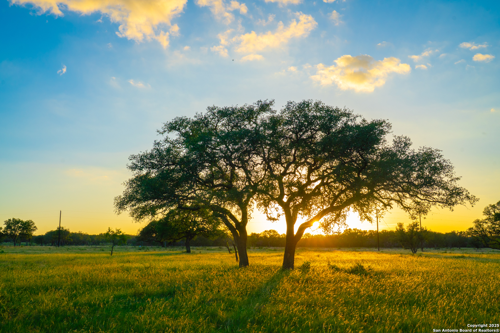 0 Golden Hour Ranch, ,  78636 — photo 1