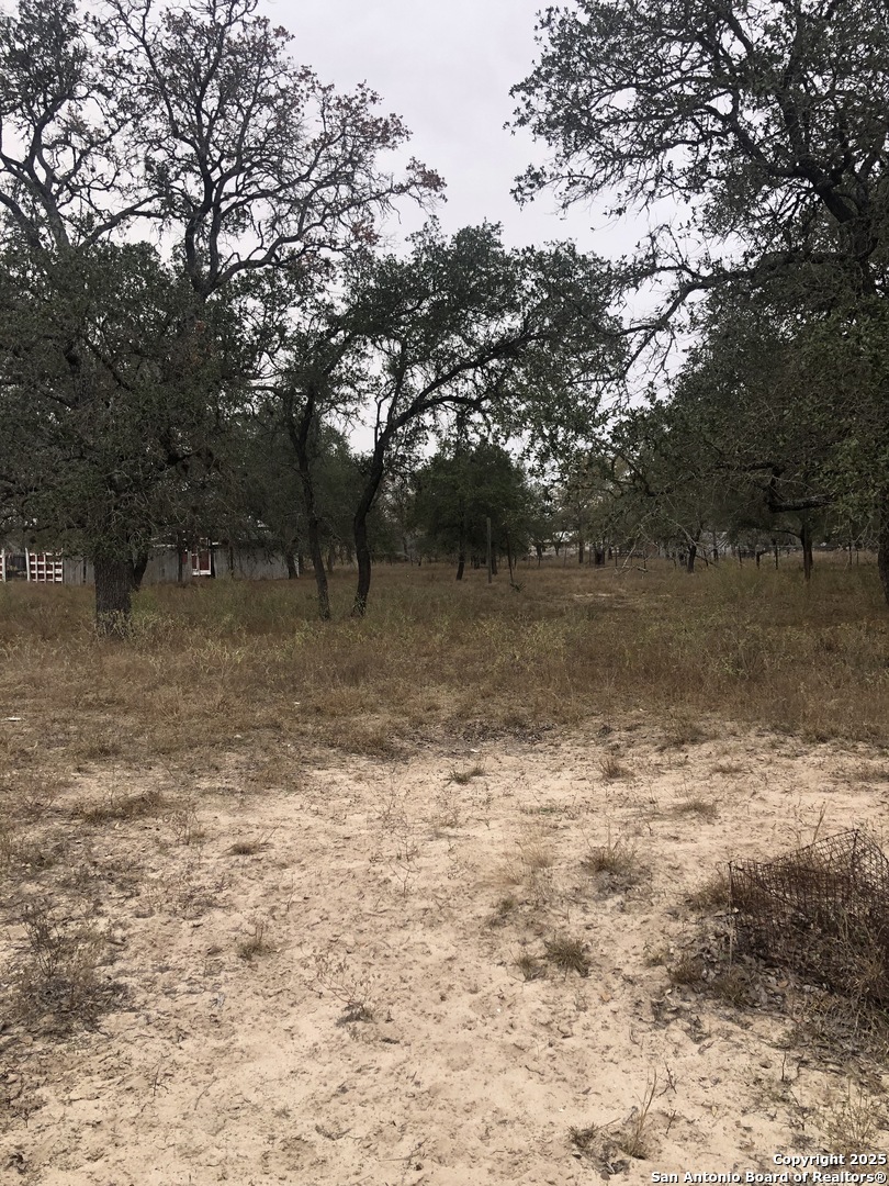 156 County Road 781