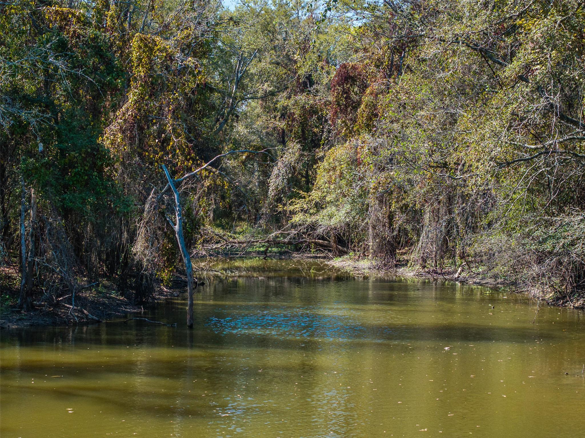 TBD State Highway 21 E (+/- 69.227 ACRES), Midway, TX 75852 — photo 1