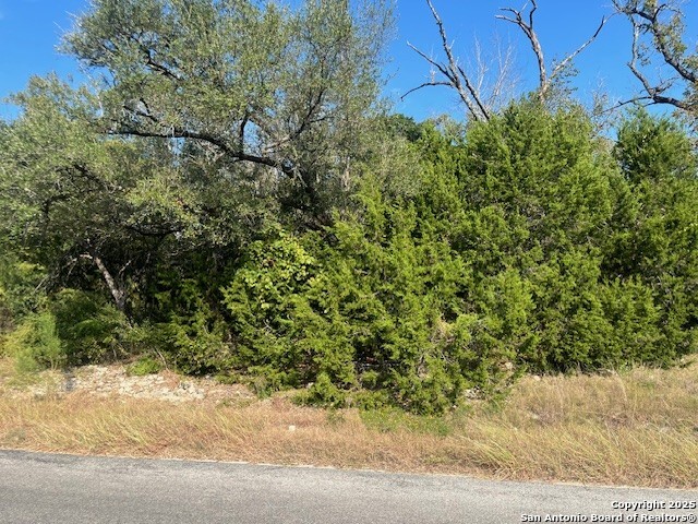 19623 Terra Mont, San Antonio, TX 78255 — photo 1