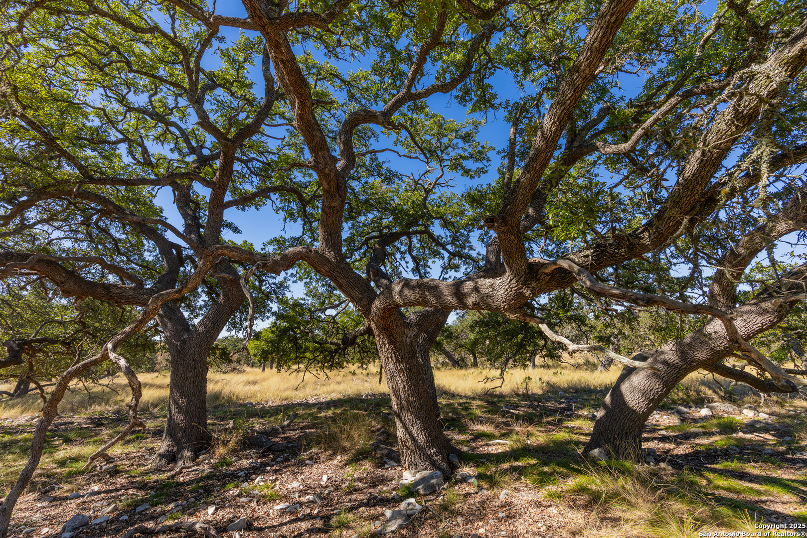 000 Cattlemans Crossing Dr, ,  78028 — photo 1