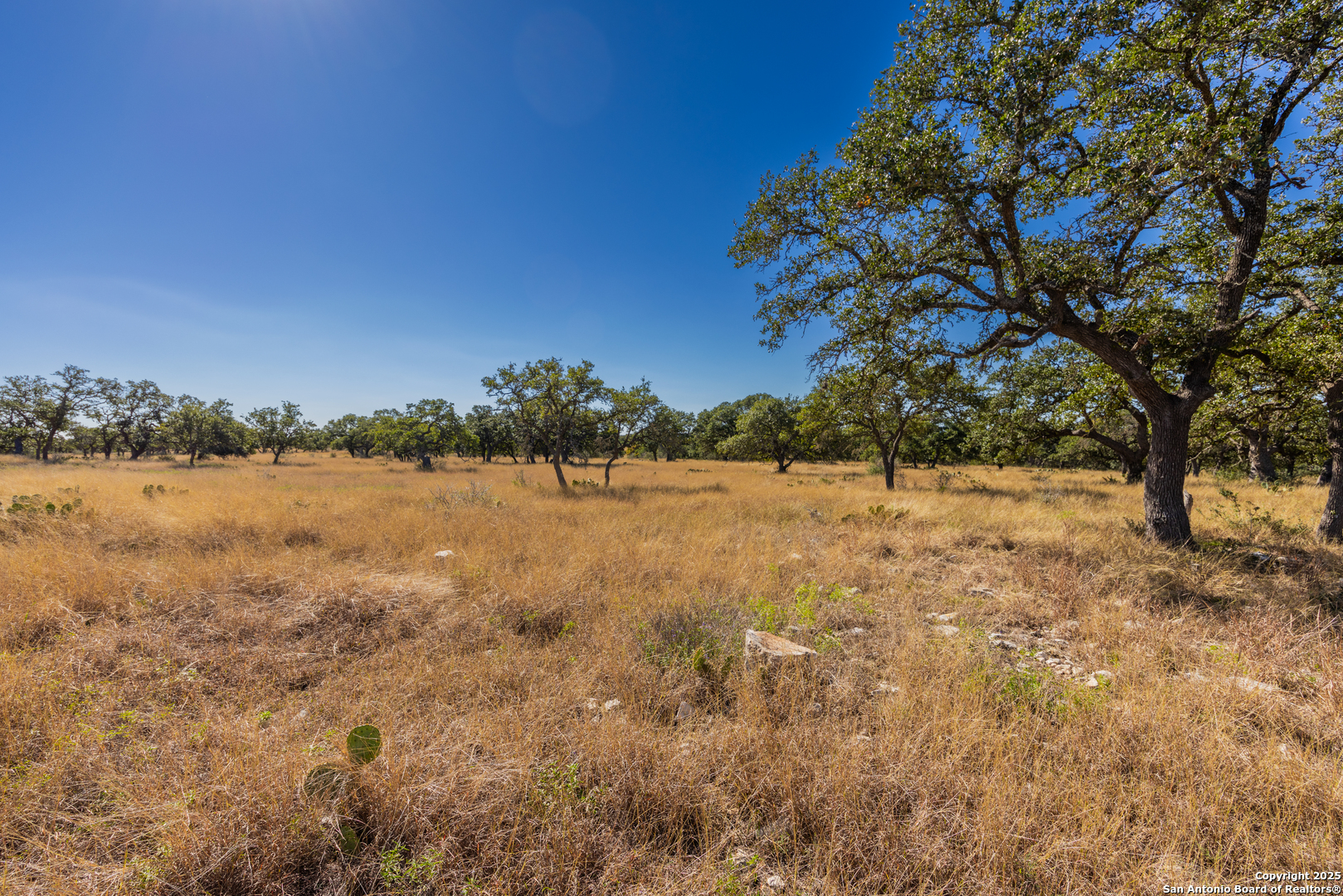 000 Cattlemans Crossing Dr, Kerrville, TX 78028 — photo 1