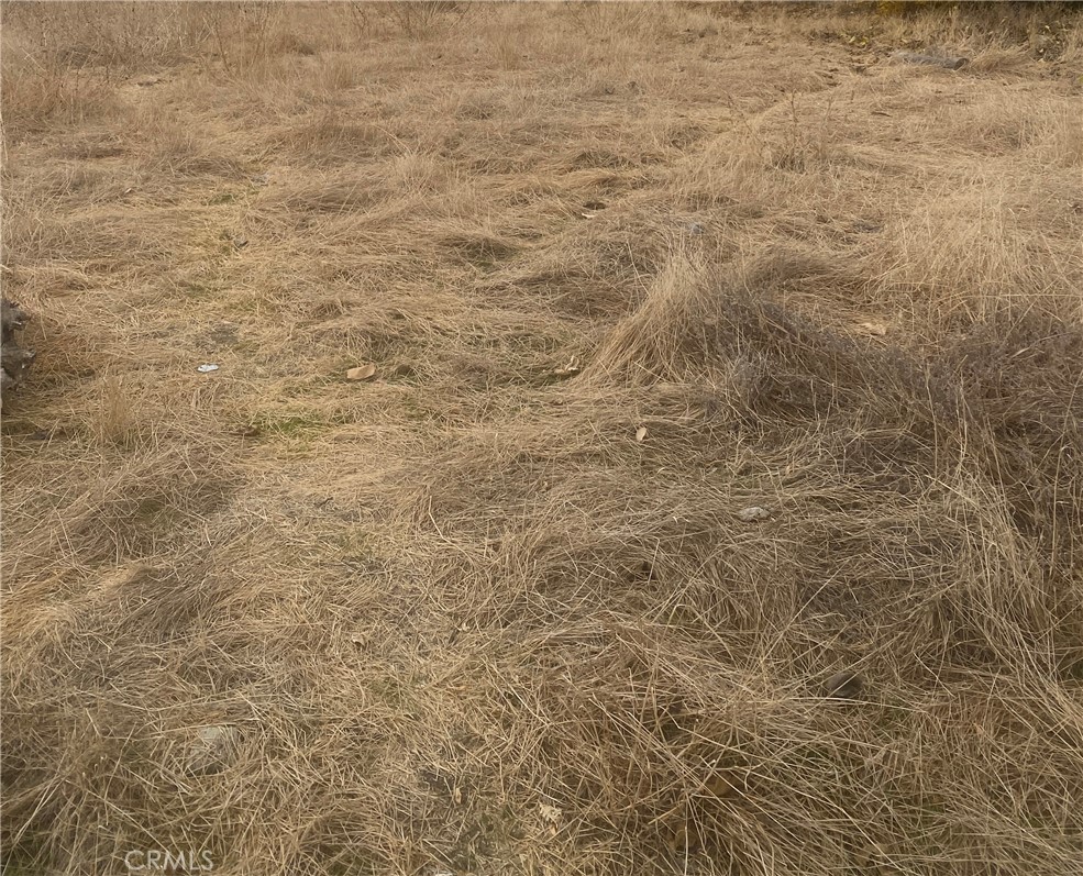 0 Vac/Vic, Llano, CA 93544 — photo 1