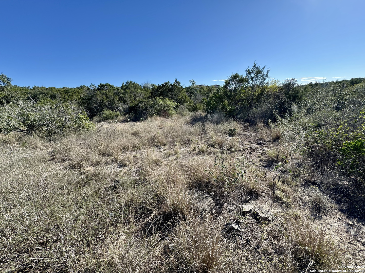 LOT 193 County Road 2801, Mico, TX 78056 — photo 1