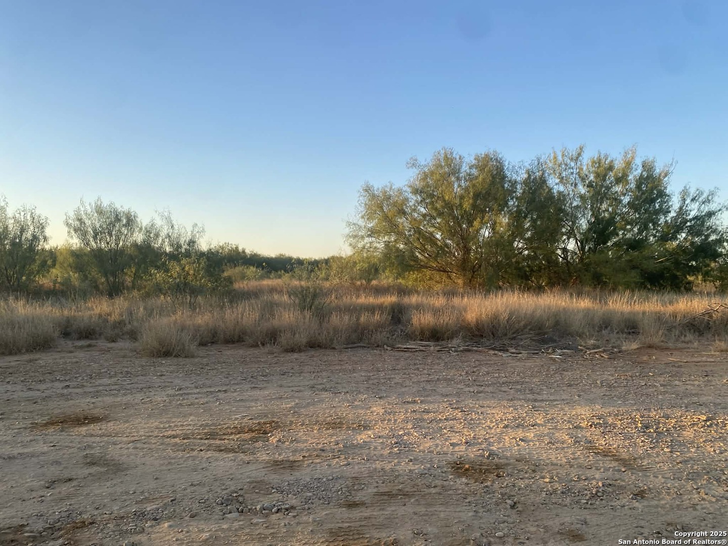 117 W FM, Dilley, TX 78017 — photo 1