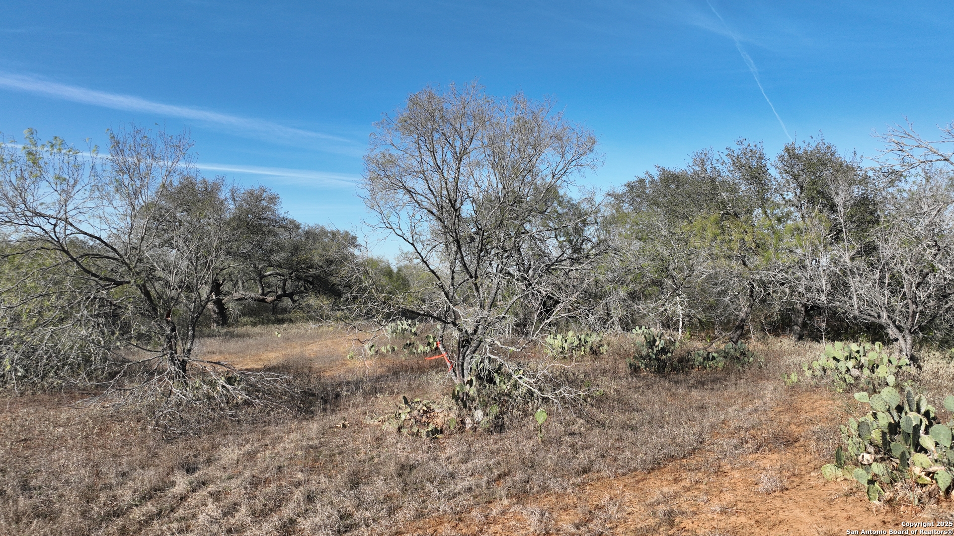 001 CR 307, ,  78026 — photo 1