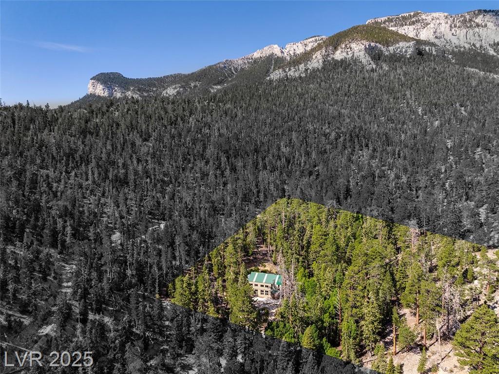 APN 128-07-201-017 N Fork Deer Creek, Mount Charleston, NV 89124 — photo 1
