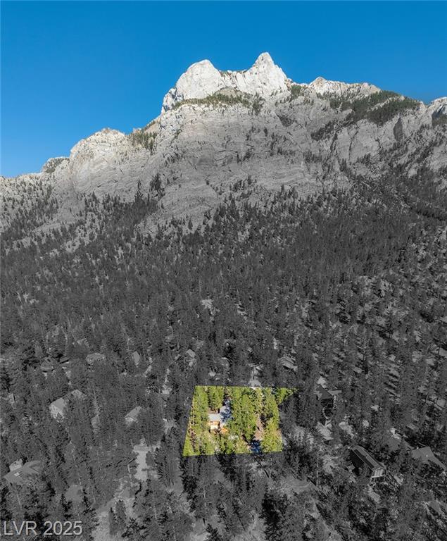 2130 Via Spes Nostra Street, Mount Charleston, NV 89124 — photo 1