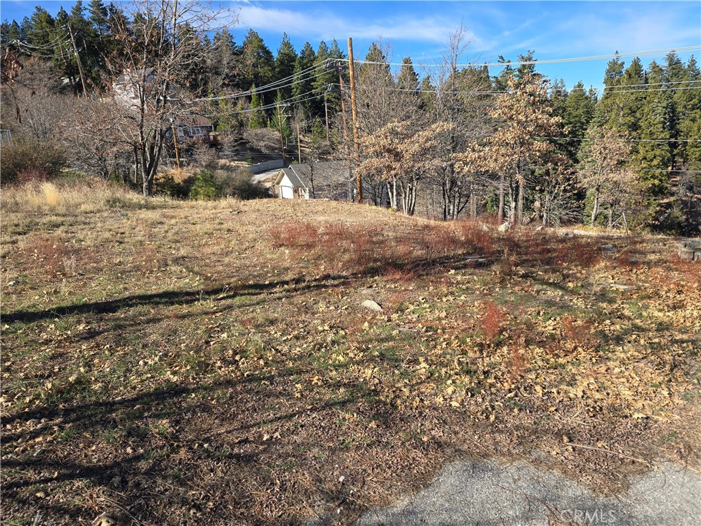 2350 deep creek, Running Springs, CA 92382 — photo 1