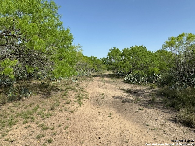 20 Windmill Ranchettes CR 329, Jourdanton, TX 78064 — photo 1