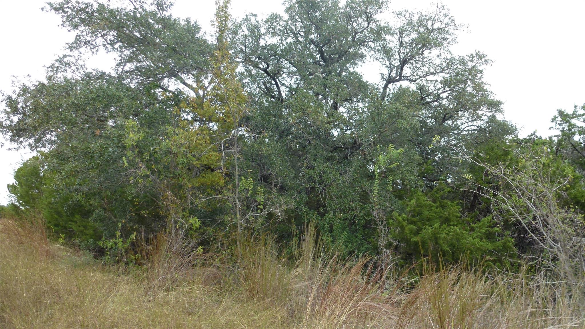 20815 Rawhide, Lago Vista, TX 78645 — photo 1