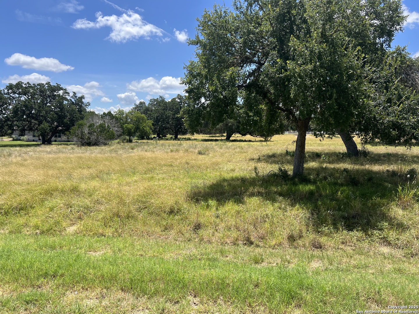 560 & LOT 295 Appaloosa, ,  78003 — photo 1