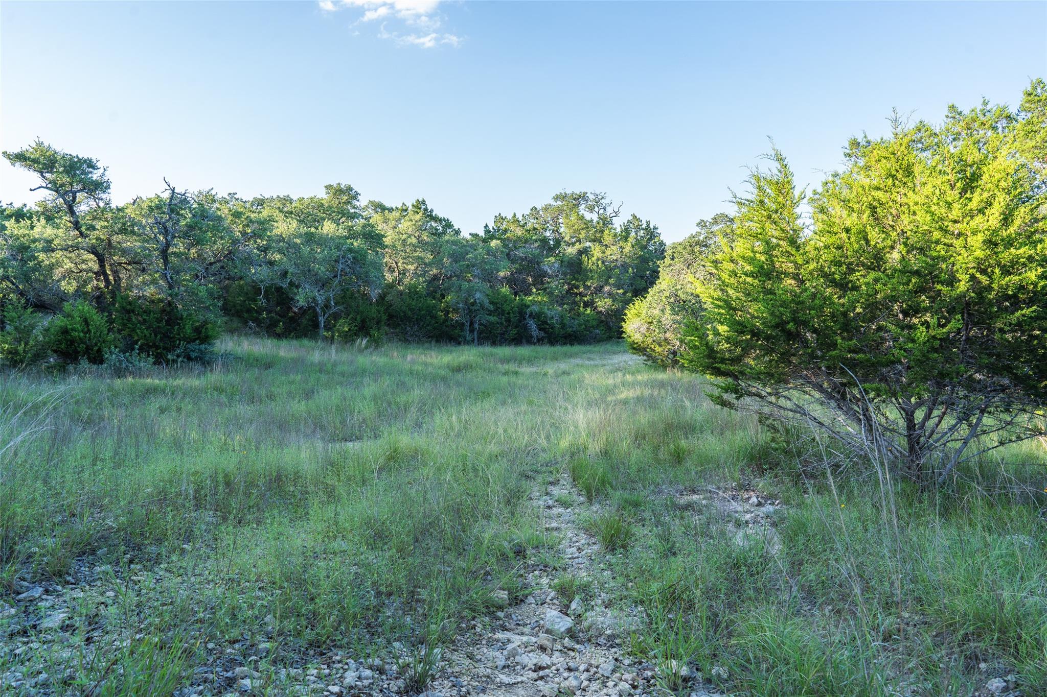 TBD Crabapple, Blanco, TX 78606 — photo 1