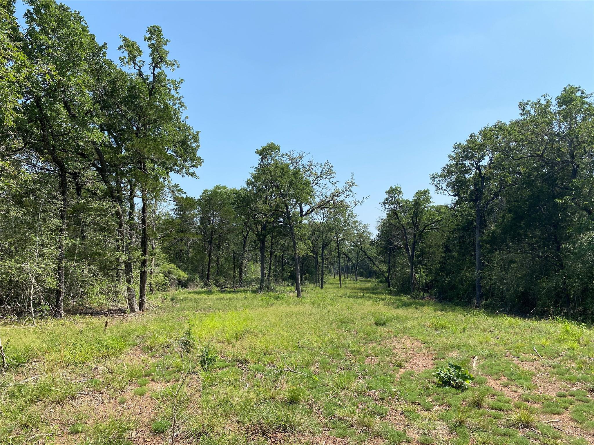 TBD High Crossing Rd - TRACT 8, Smithville, TX 78957 — photo 1