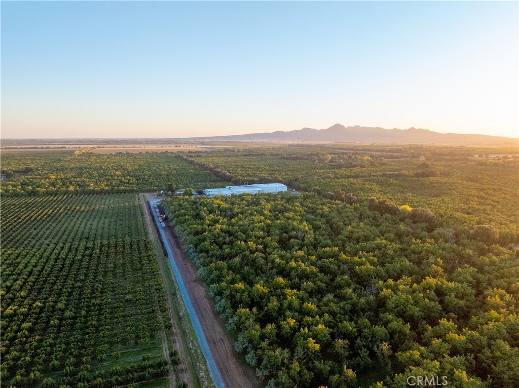 459 W Evans Reimer Road, Gridley, CA 95948 — photo 1