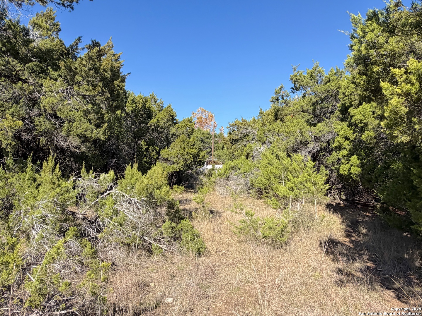 545-561 Lake Park Loop, Canyon Lake, TX 78133 — photo 1