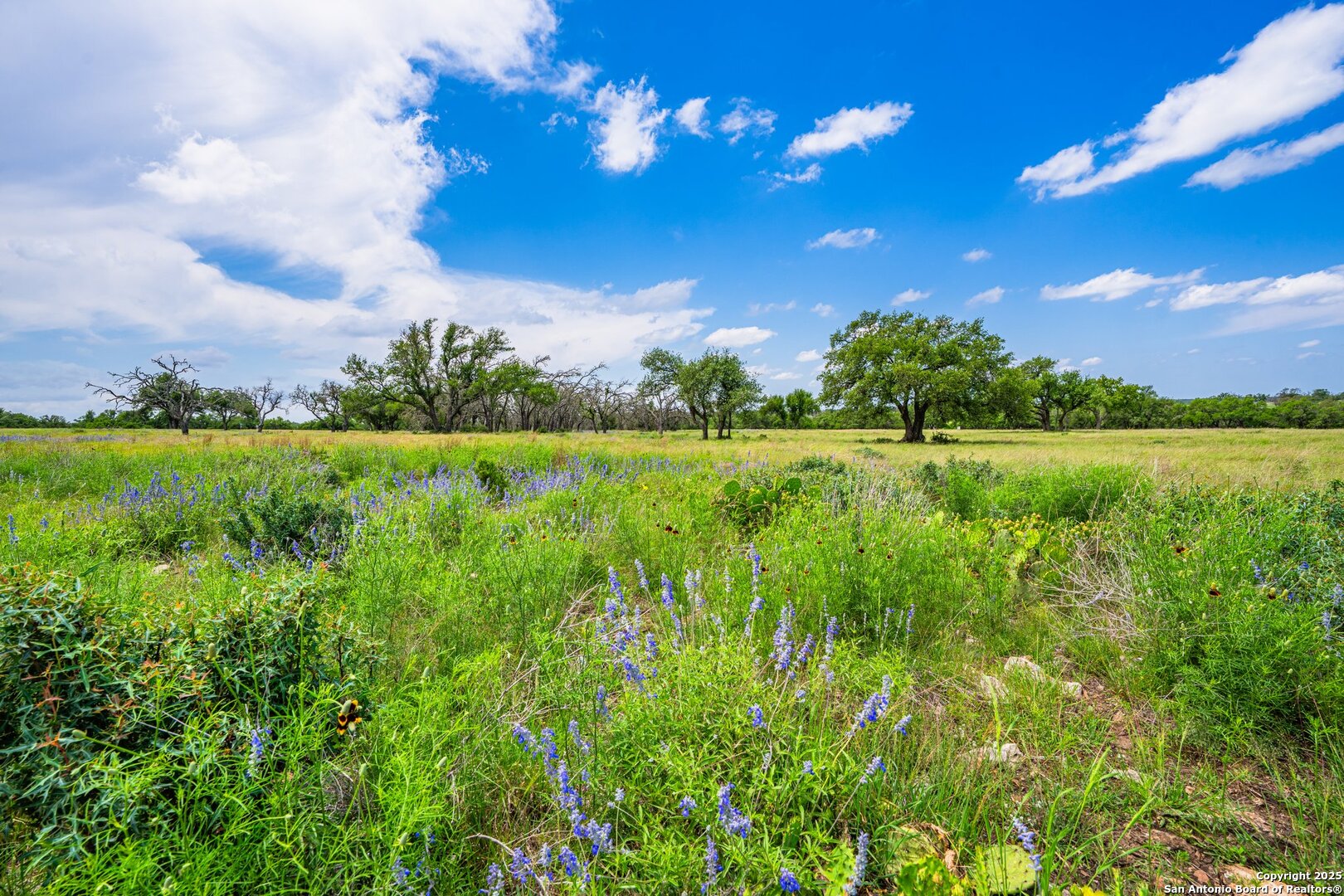 LOT 79 Stock Pond Dr, ,  78631 — photo 1