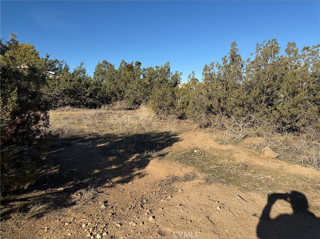 0 Neilson Road, Phelan, CA 92371 — photo 1