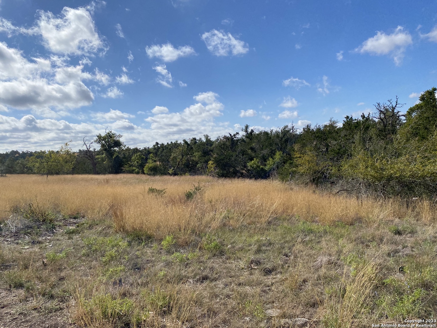 7490 US-87 N, , 78624 — photo 1