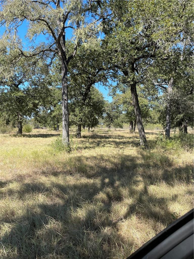 200 Hershal Ln, Cedar Creek, TX 78612 — photo 1