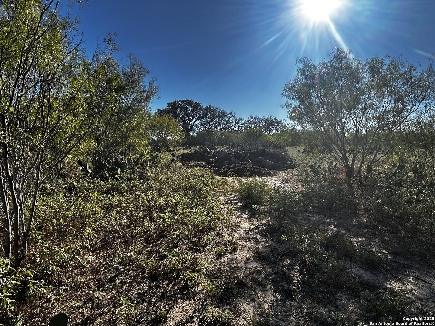 TBD County Road 777, Devine, TX 78016 — photo 1