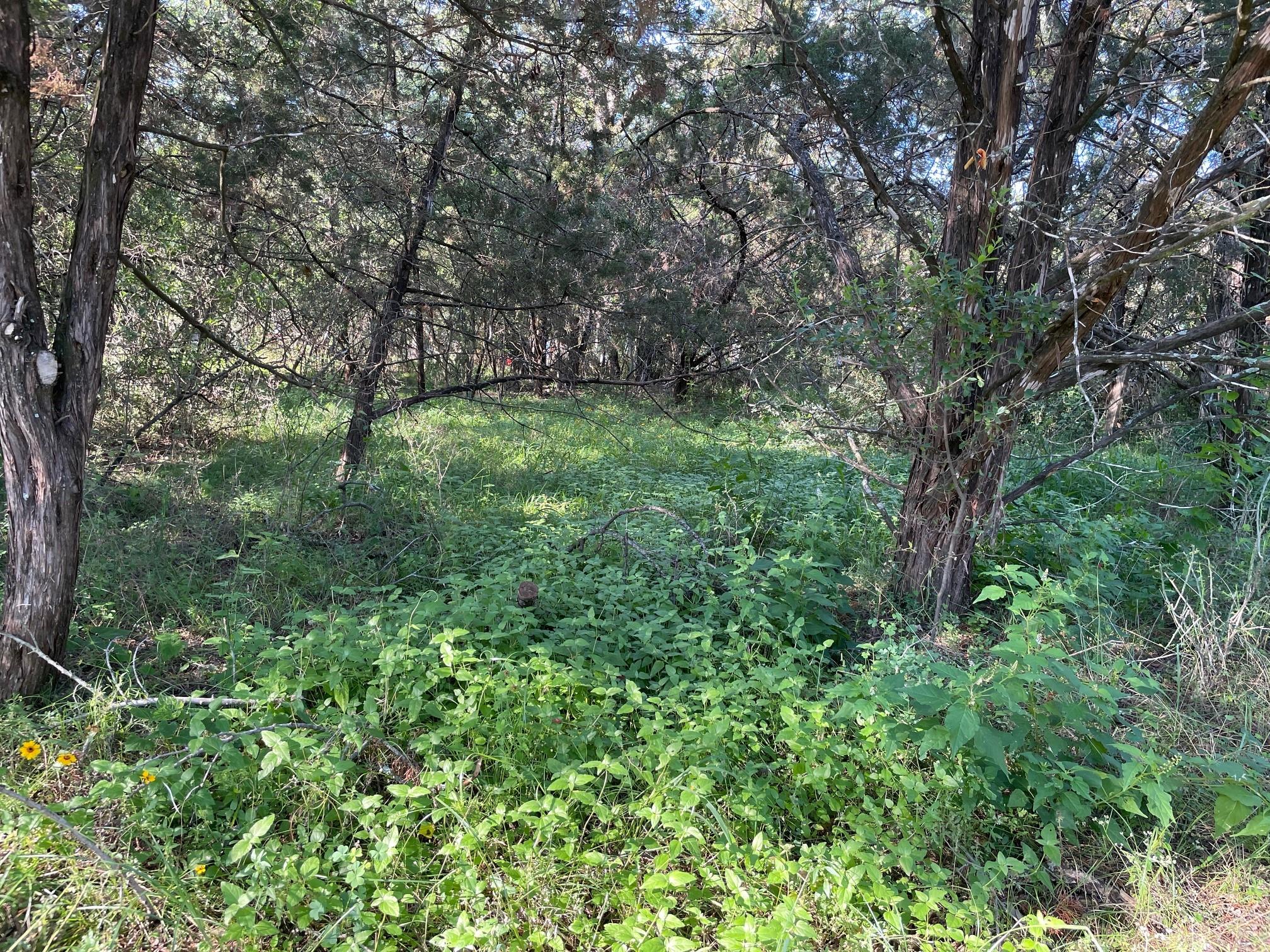 Lot 423 Indian Summer None, Spicewood, TX 78669 — photo 1
