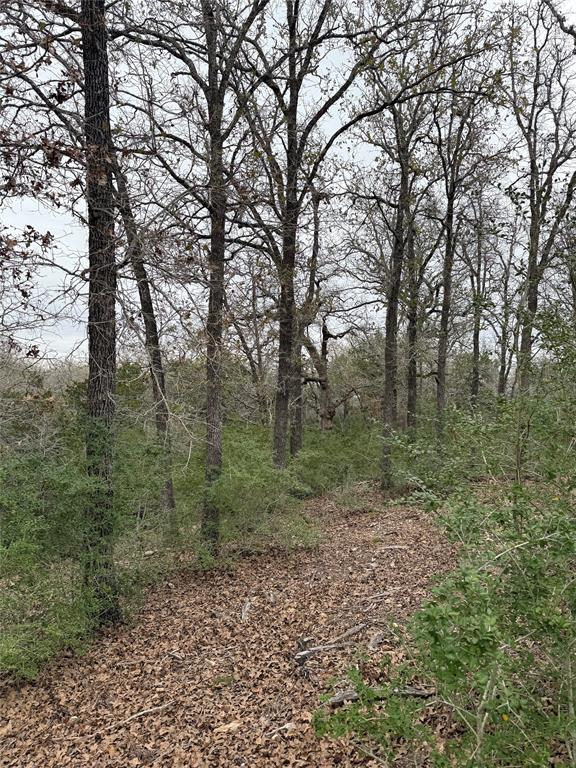 000 Wailupe, Bastrop, TX 78602 — photo 1