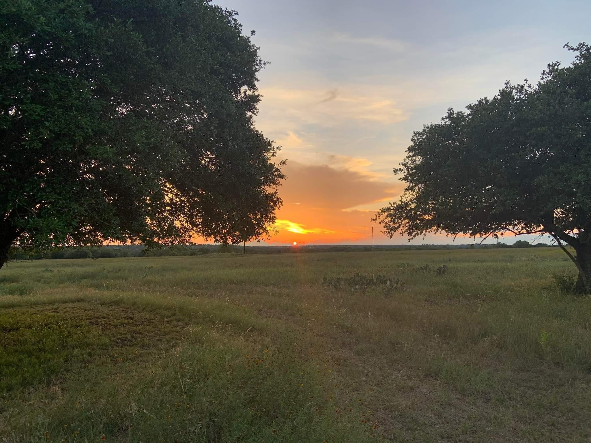 153 High Point, Kempner, TX 76539 — photo 1