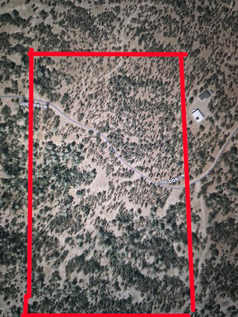 Joe Dog Lane, Cottonwood, CA 96022 — photo 1