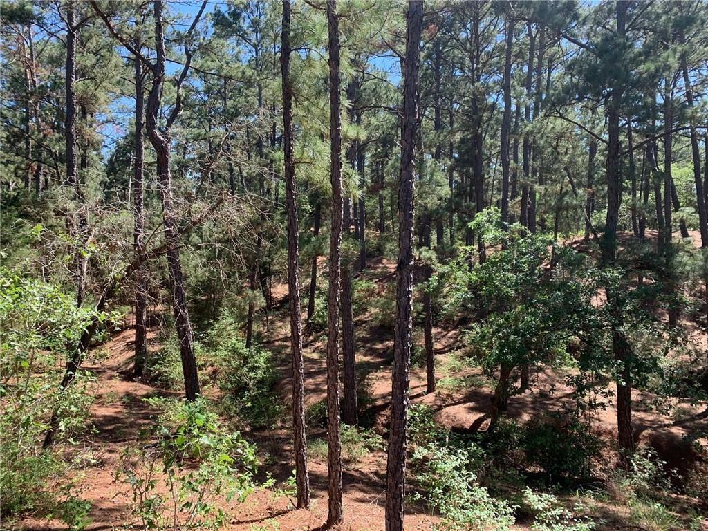 TBD Wahane, Bastrop, TX 78602 — photo 1