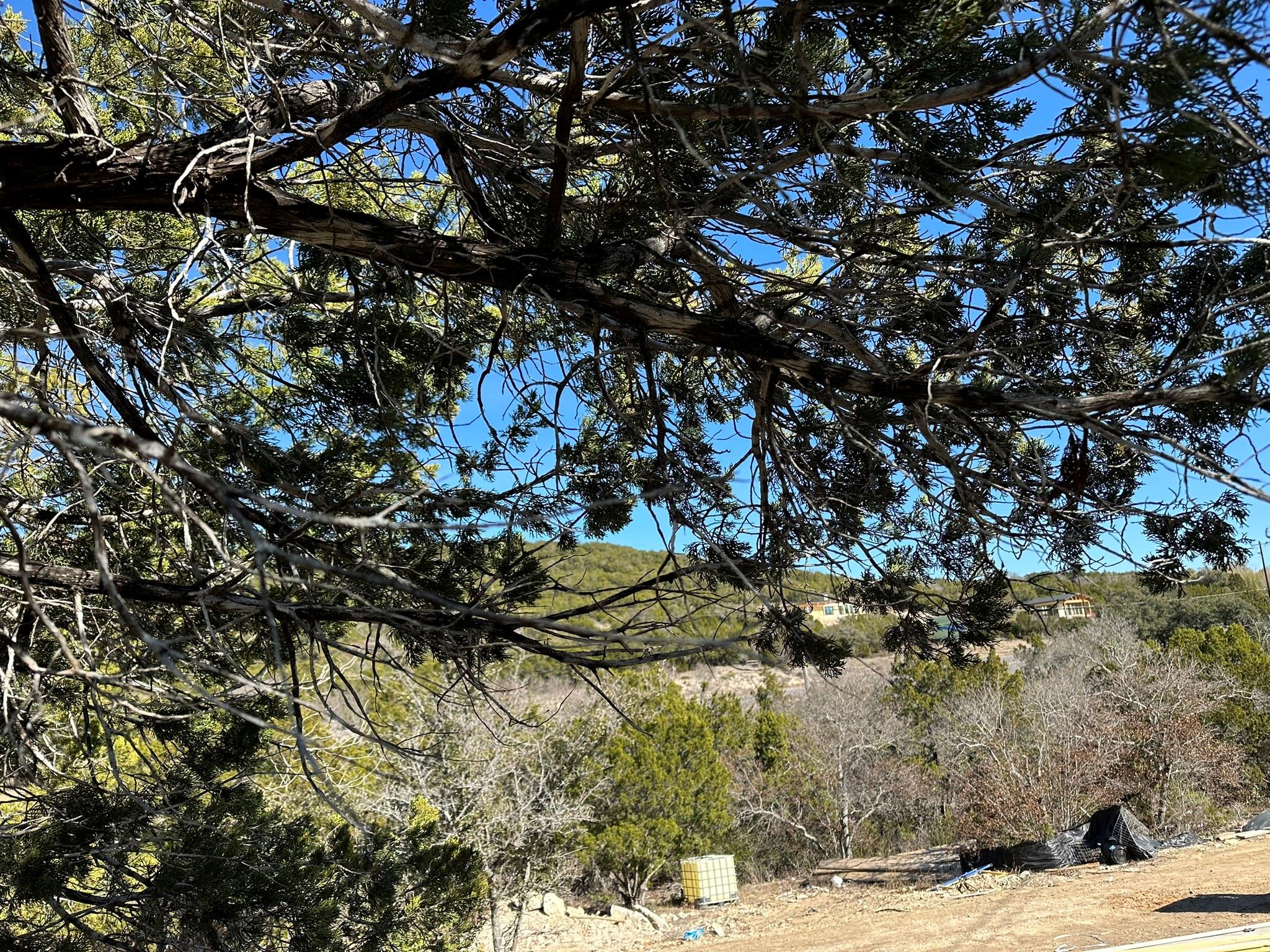 18502 Roundrock Rd, Jonestown, TX 78641 — photo 1