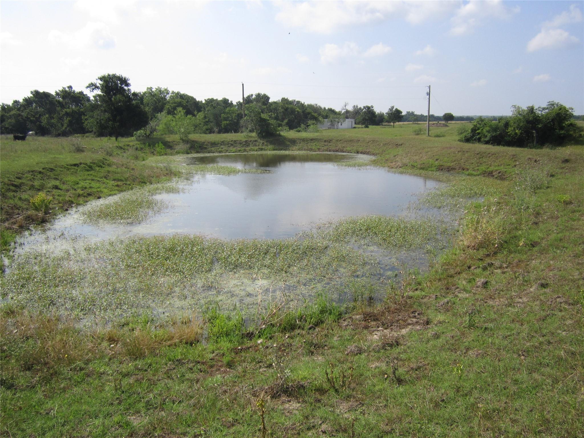 1602 County Road 470, Coupland, TX 78615 — photo 1