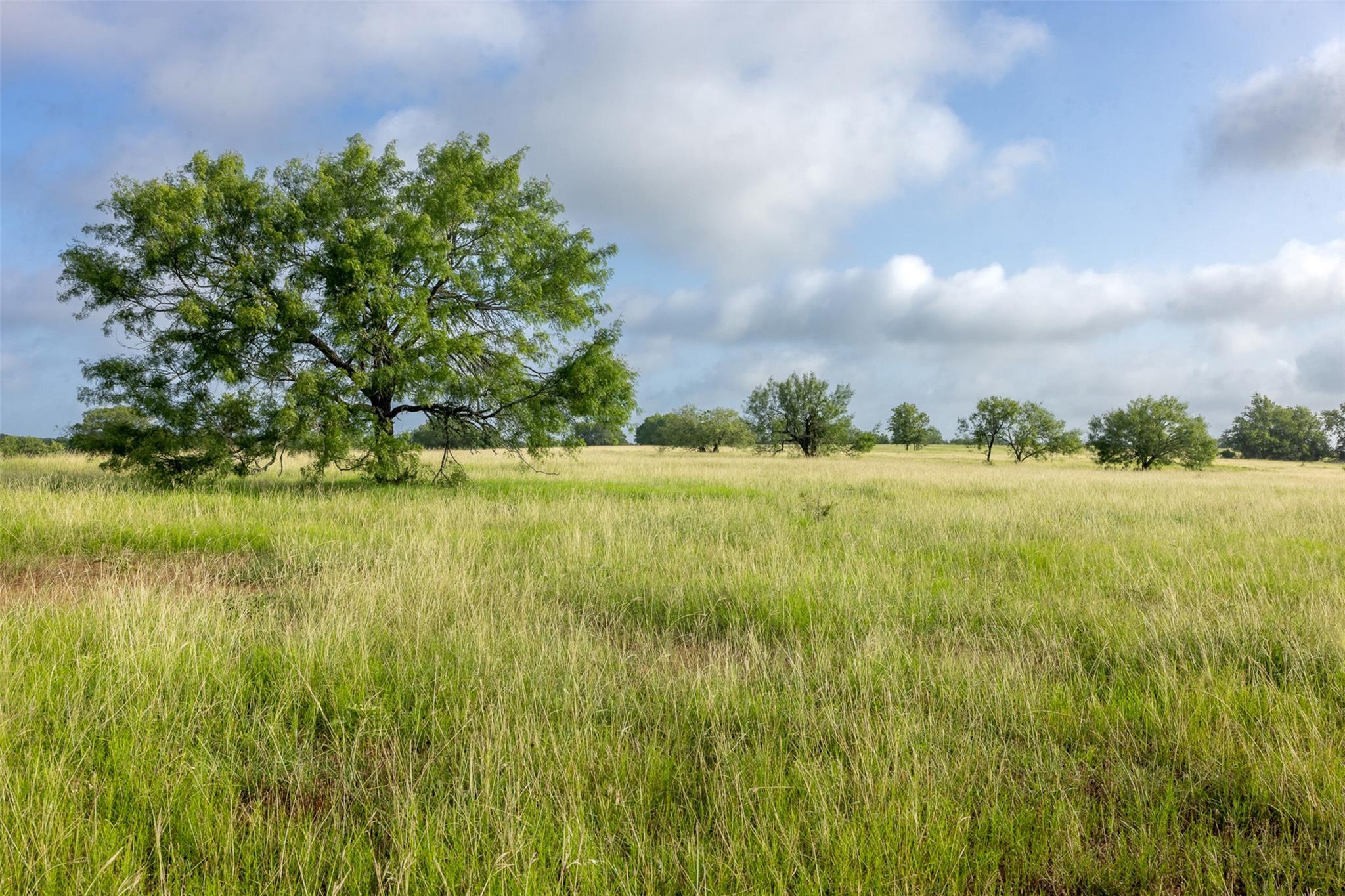 4046  State Highway 21 None, Caldwell, TX 77835 — photo 1