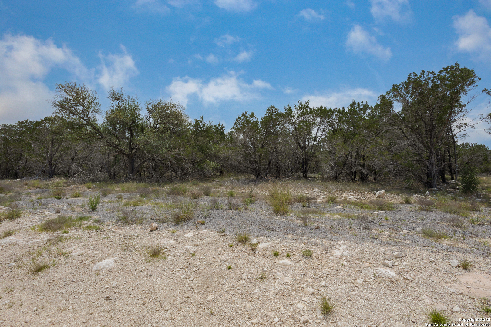 1020 PRISTINE TRL, Canyon Lake, TX 78133 — photo 1