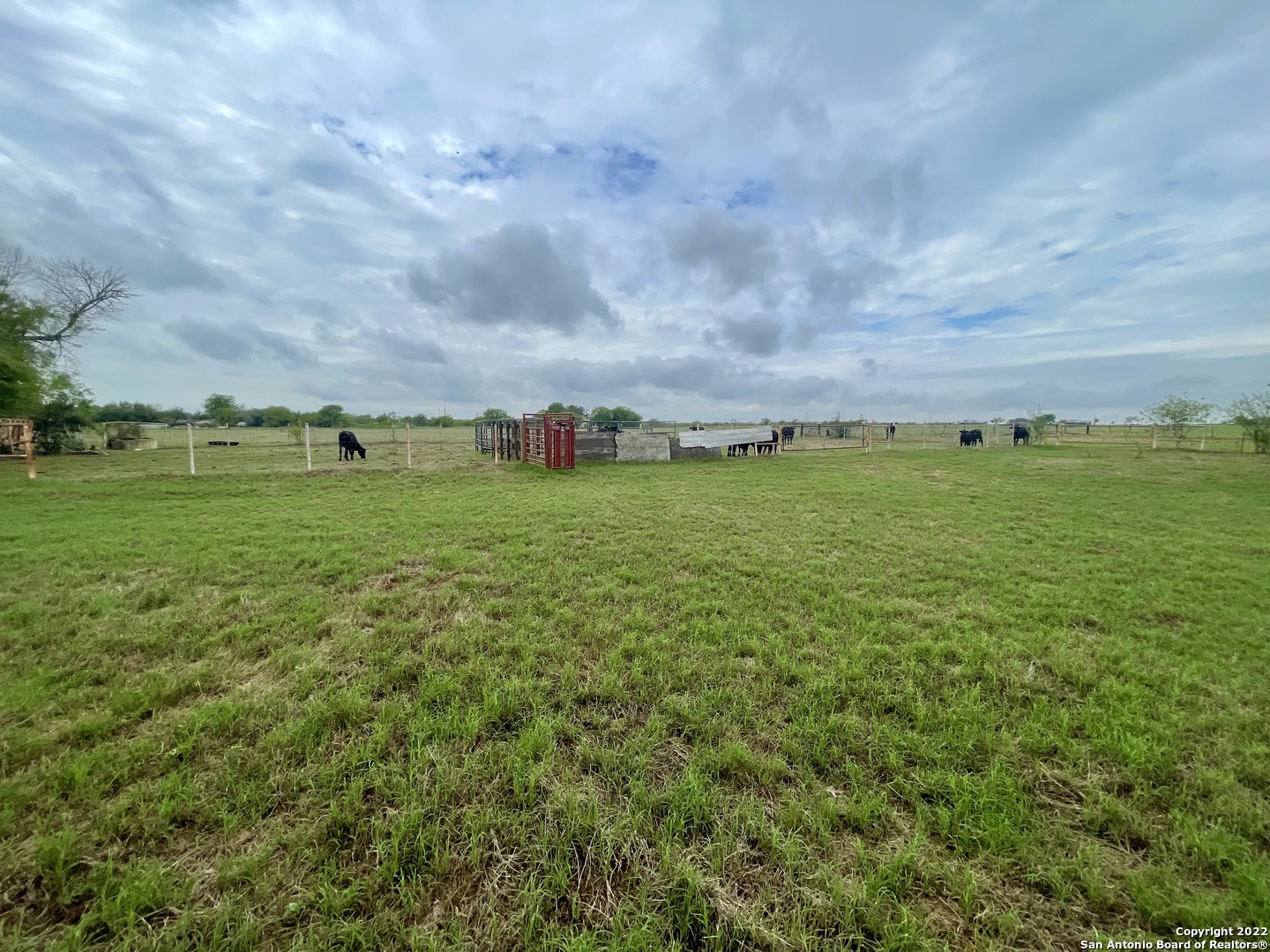5673 FM 1628, ,  78101 — photo 1