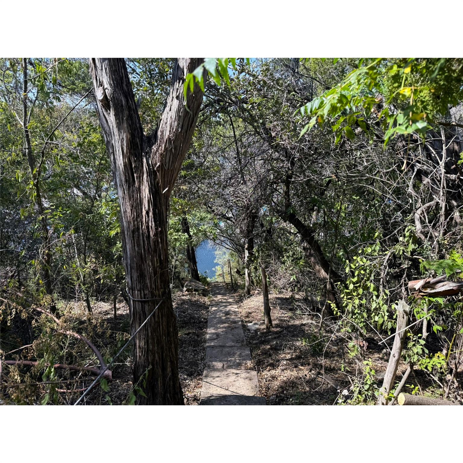 14456  Agarita Rd, Austin, TX 78734 — photo 1