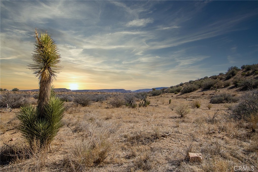 50600 Burns Canyon Road, Pioneertown, CA 92268 — photo 1
