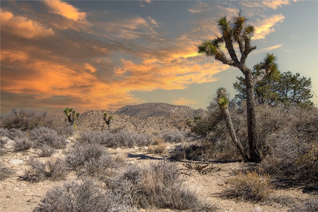 48400 Madison Road, Pioneertown, CA 92268 — photo 1