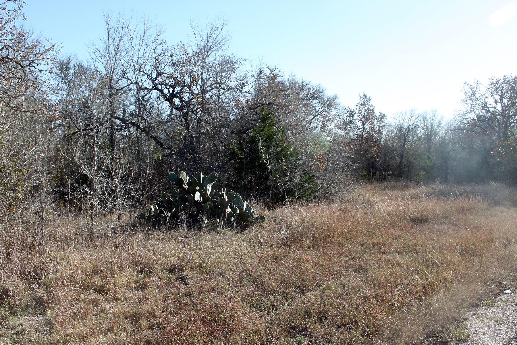 100 Track Road, Dale, TX 78616 — photo 1